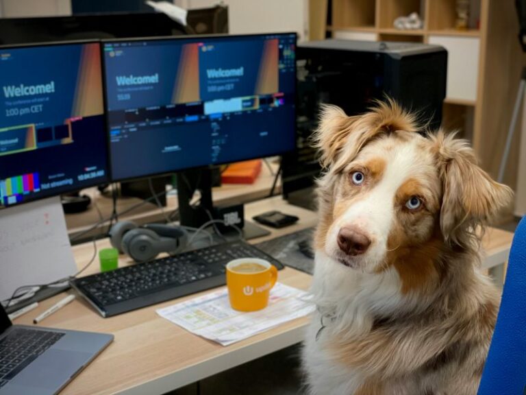 Perro en escritorio.